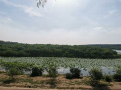 -丁香湖公园