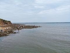 -仙人岛风景区