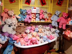 景点-济州岛泰迪熊博物馆