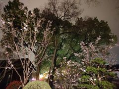 -枫桥夜泊
