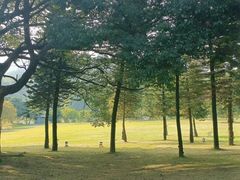 -福建鲤鱼洲酒店