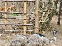 -昆明青龙峡风景区