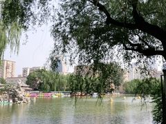 -团结湖公园