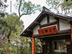 -中国茶叶博物馆(双峰馆区)