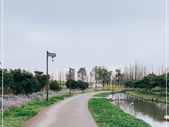 -乌村