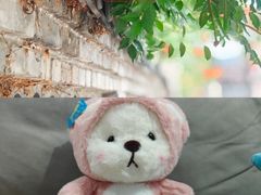 -兰陵国家农业公园