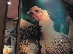 -云海肴·汽锅鸡·云南代表菜(五道口购物中心店)