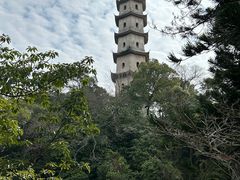 -江心屿景区
