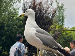 -杭州野生动物世界