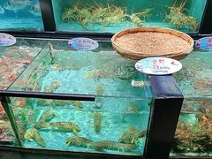 -快乐海鲜酒楼(滇池路店)