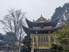 -上海东林寺(金山区)