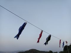 -广州市白云山风景名胜区