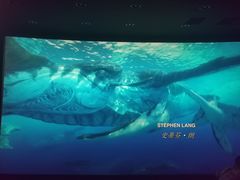 -CGV影城(东港IMAX店)