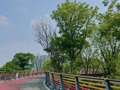 -府河摄影公园