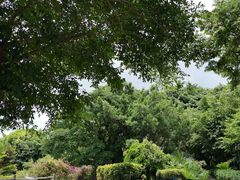 -南诏风情岛