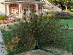 -J Create城市露营咖啡·简餐·宠物(上海动物园店)