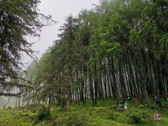 -硗碛藏寨·神木垒景区