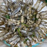 青岛本地人推荐0踩雷的海鲜啤酒屋