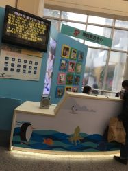 -上海交通大学医学院附属上海儿童医学中心(陆家嘴总院区)