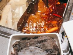 -海底捞火锅(金光华店)