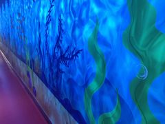 -深海中餐厅(国家海洋博物馆店)