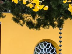 -西园戒幢律寺