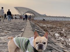 -南汇嘴观海公园