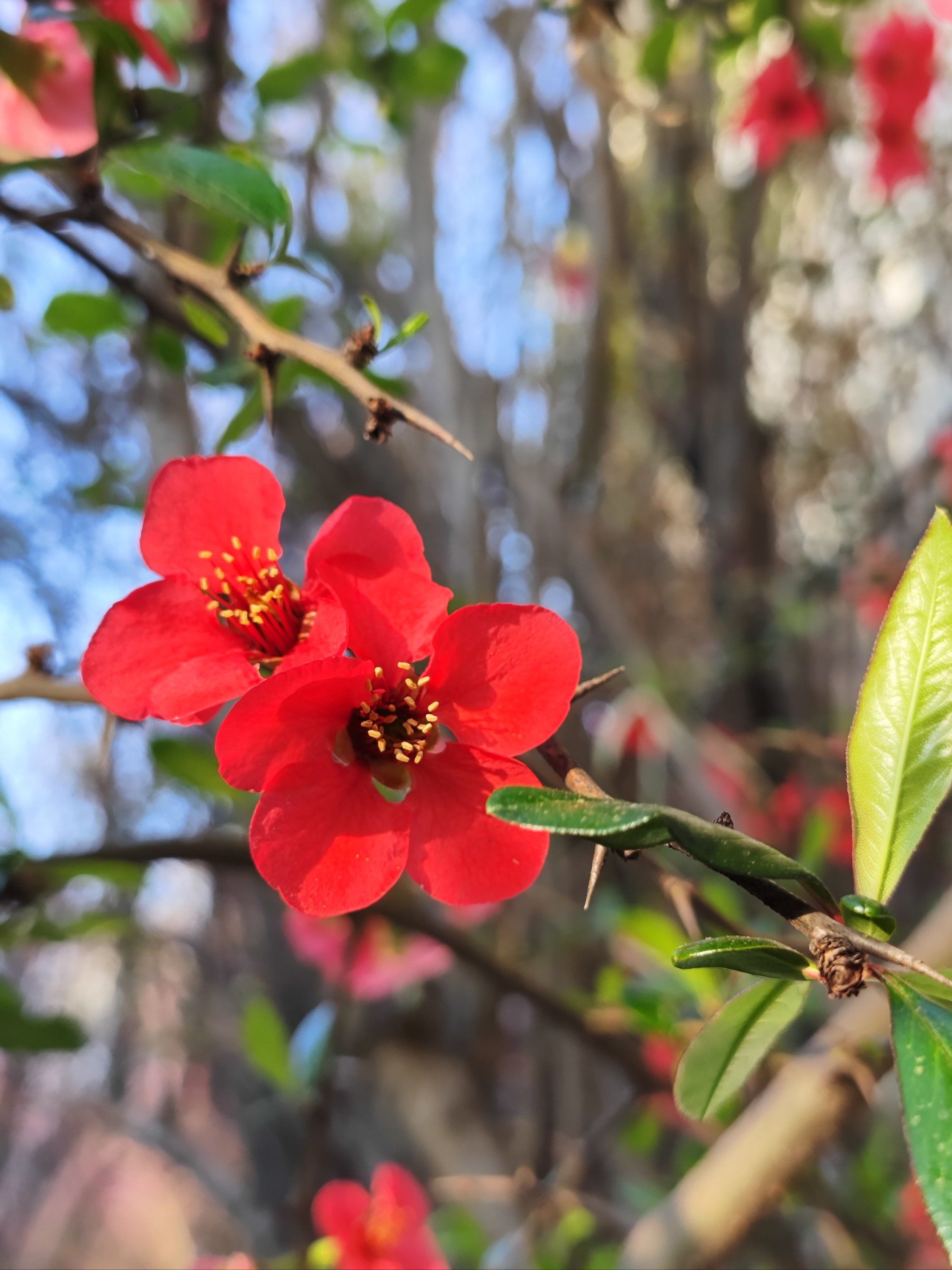 是个很有故事的地方,它由民国年间的昆明市长庾恩锡先生所建的花园
