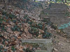 -上海佘山国家森林公园天马山园