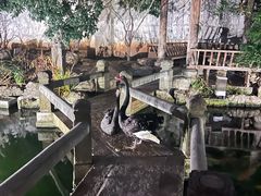 -荐悫堂(锦江新天地店)