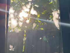 -斯多格书乡(北京大学畅春园店)