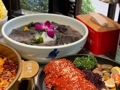 -矮板凳老火锅(宽窄巷子店)