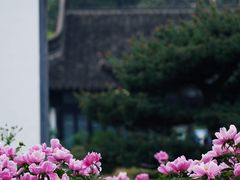 -扬州大运河文化旅游度假区·盆景园