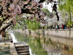 -海棠花溪(元大都城垣遗址公园)