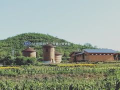 -君乐宝优致牧场