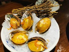 鲍鱼刺身-旨料亭日本料理(四川北路店)