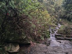 -大慈岩风景区