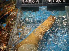 -徐记海鲜(南油永新汇店)