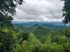 -莫干山风景区