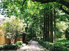 -法云古村