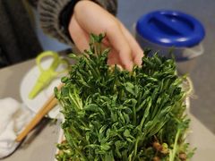 -海底捞火锅(茂业店)