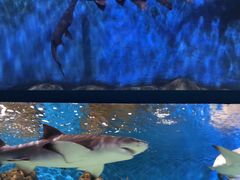 -石林冰雪海洋世界