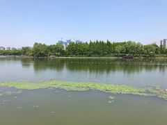 -尚贤河湿地