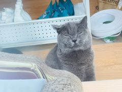 -Pets First伊珊娜洗护·精致美容·家庭式寄养(新会路店)