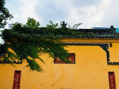 -鸡毛店·川菜(文殊院店)