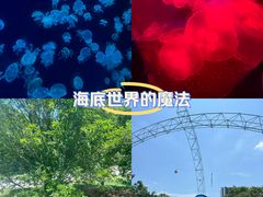 -深圳野生动物园