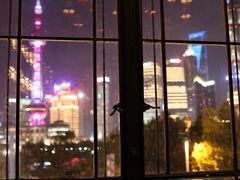 景观位-L'ATELIER de Joel Robuchon(外滩18号店)