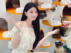 -PO PARK东方宝泰