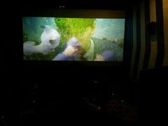 -国文影城(上海闸北店)