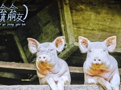 -永安水煮活鱼·仪征菜(仪征奥林匹克店)